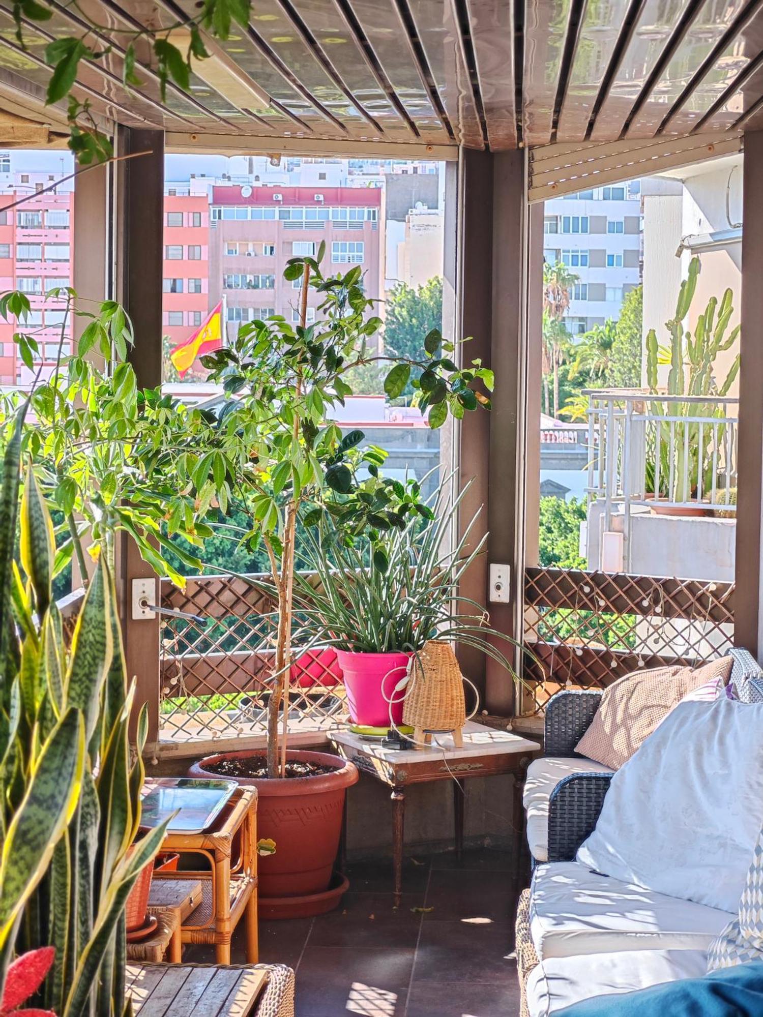 Casa Compartida Weyler Acomodação com café da manhã Santa Cruz de Tenerife Exterior foto